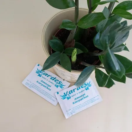 Apartmanhotel Vardes