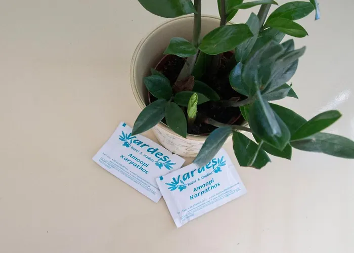 شقة فندقية Vardes